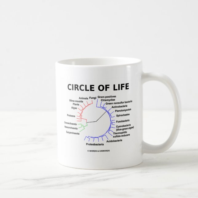 Cirkla av liv (det Phylogenetic träd för Kaffemugg (Höger)