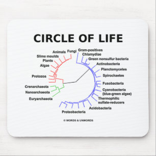 Cirkla av liv (det Phylogenetic träd för Musmatta