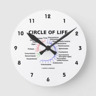 Cirkla av liv (det Phylogenetic träd för Rund Klocka
