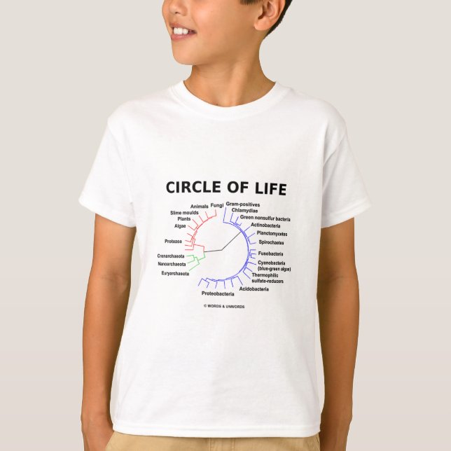 Cirkla av liv (det Phylogenetic träd för T Shirt (Framsida)
