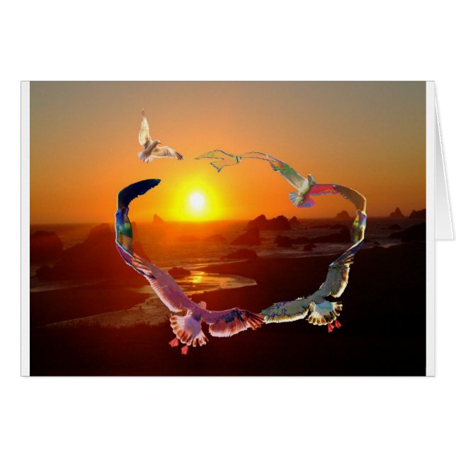 Cirkla av Seaguls Hälsningskort (Framsidan Horizontal)