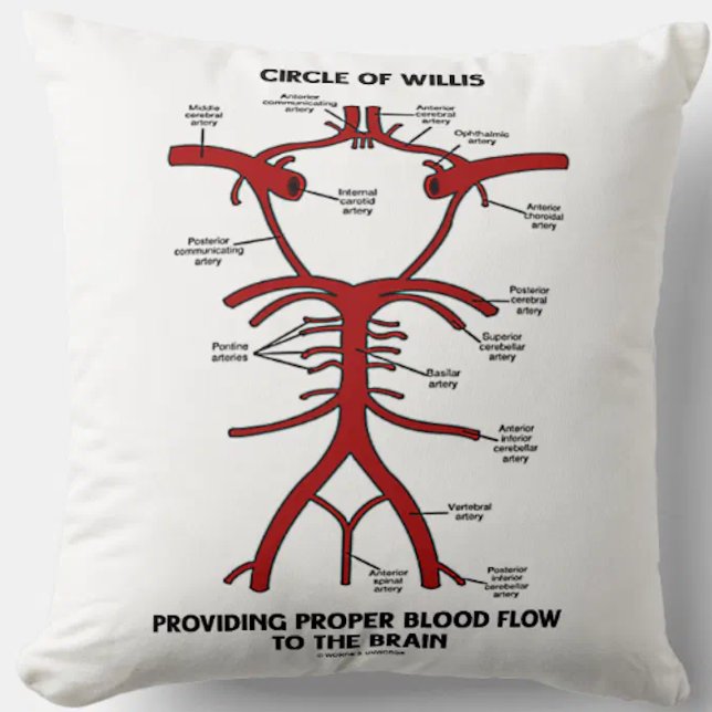 Cirkla av Willis som ger den riktiga Kudde (Throw pillow featuring Circle of Willis diagram, complete with labels of all key arteries)