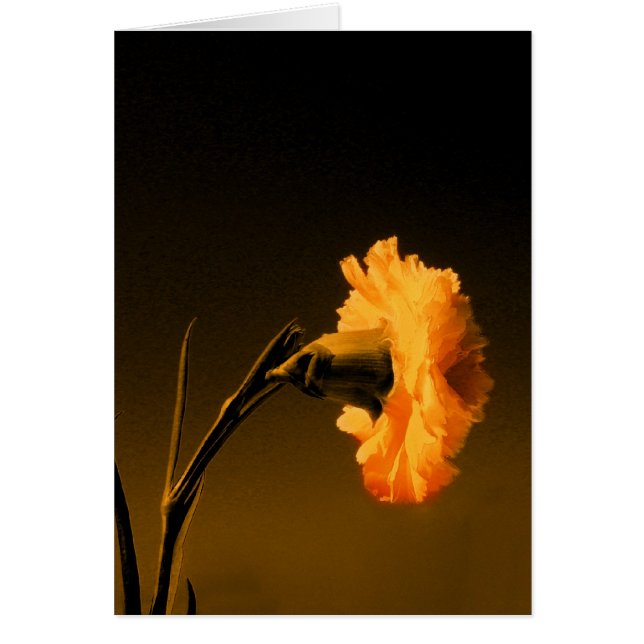 cirkulation 2 hälsningskort (Framsidan)