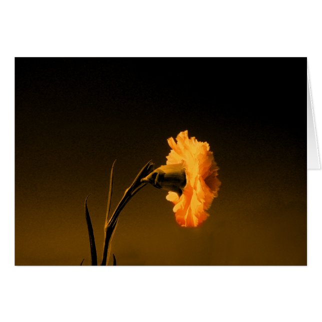 cirkulation 2 hälsningskort (Framsidan Horizontal)