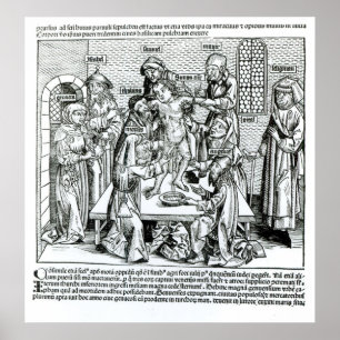 Cirkumcision, från "Liber Chronicarum" Poster