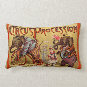 Cirkus Ländryggskudde Lumbarkudde