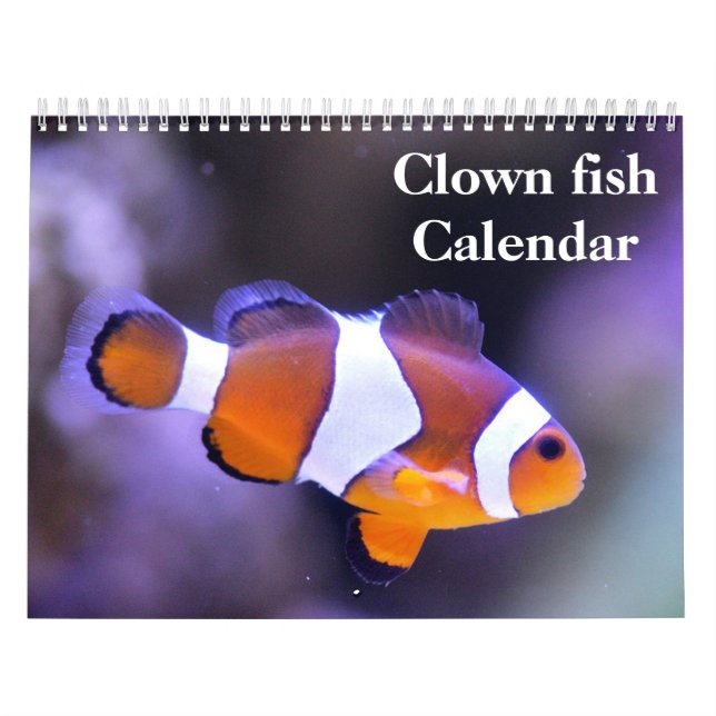 Cirkusfisk 2027 kalender (Omslag)