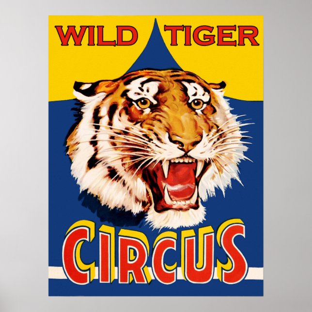 Cirkusshow, vild tiger, vintage poster (Framsidan)