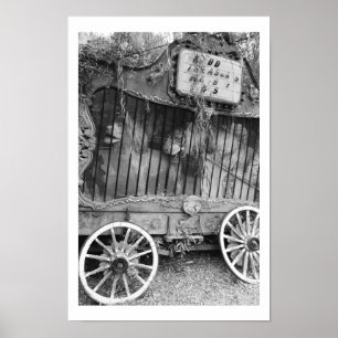 Cirkusvagn Poster