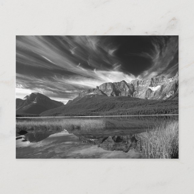 Cirrusmoln över Waterfowl Lake, Banff Vykort (Framsida)