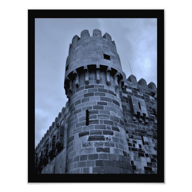 Citadel av Qaitbay Fototryck (Framsidan)