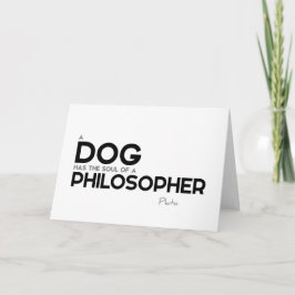 Citat: Platon: Hund, filosof Kort