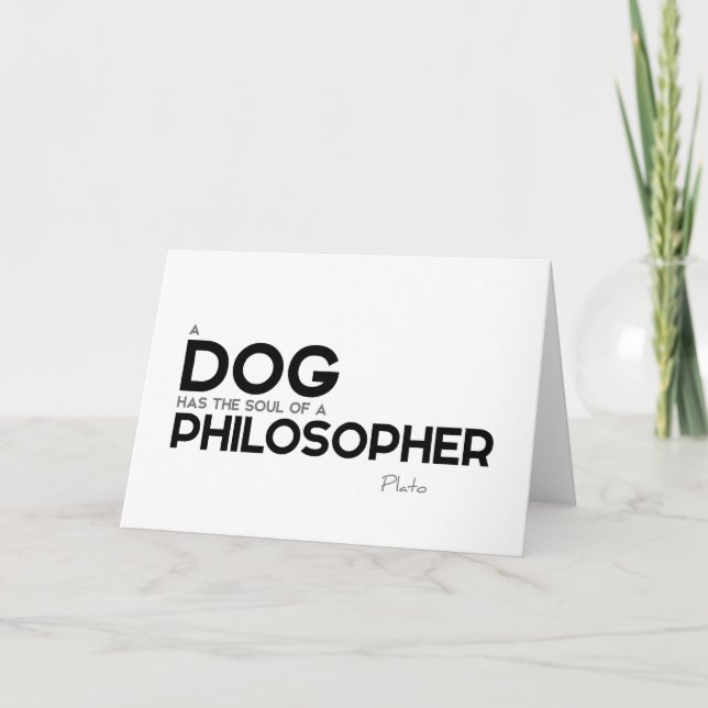 Citat: Platon: Hund, filosof Kort (Framsida)