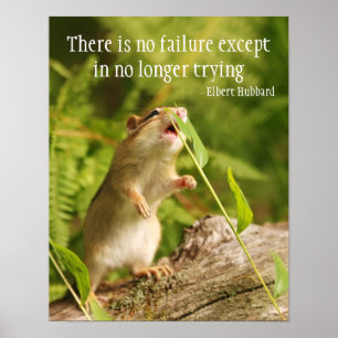 Citationstecken för babyjordekorreförsök poster