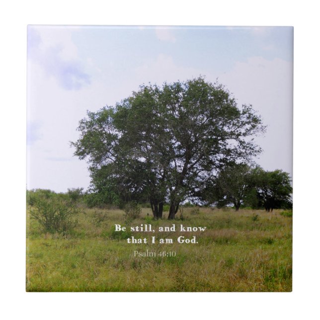 Citationstecken för bibel för Psalm46:10 inspirera Kakelplatta (Framsidan)