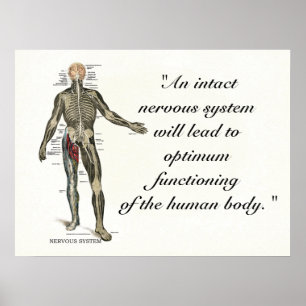 Citationstecken & ord för Chiropractic vård- Poster
