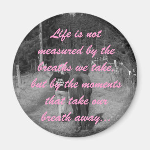 Citationsteckenmagnet Magnet