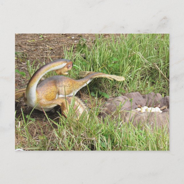 Citipati - Dinosaur - Inlärningskort Vykort (Framsida)