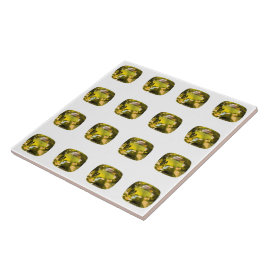 Citrine Mönster Kakelplatta