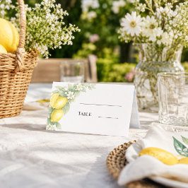 Citron citrus blå gingham trädgårdsfest placeringskort