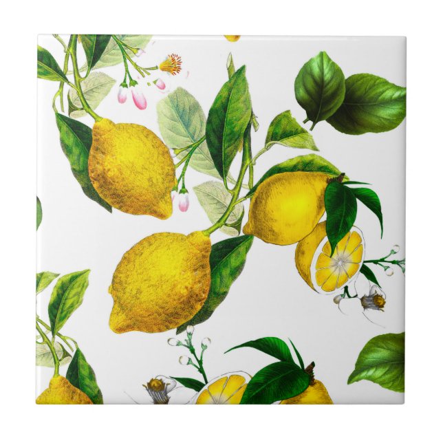 citron,citrus,mediterrana     runda papper kakelplatta (Framsidan)