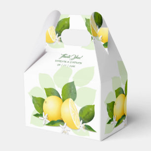 Citron Citrusfrukt Botanisk Presentaskar