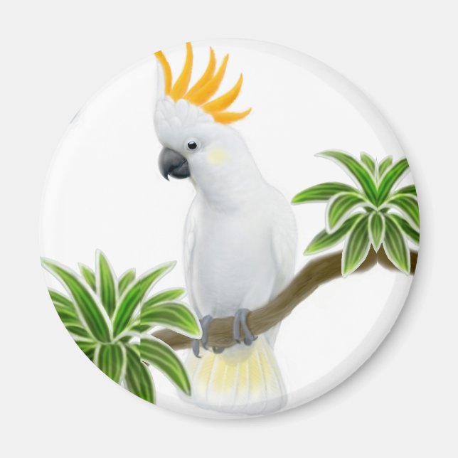 Citron Cockatoo Magnet (Framsidan)
