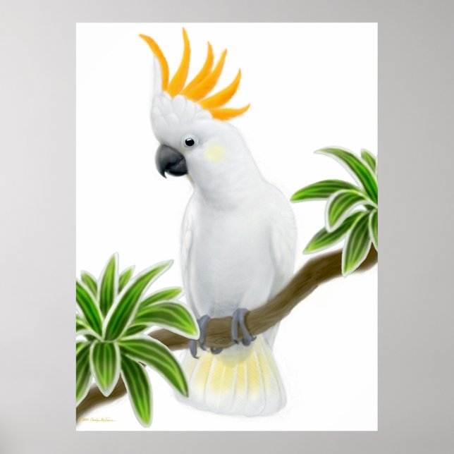 Citron Crested Cockatoo Poster (Framsidan)