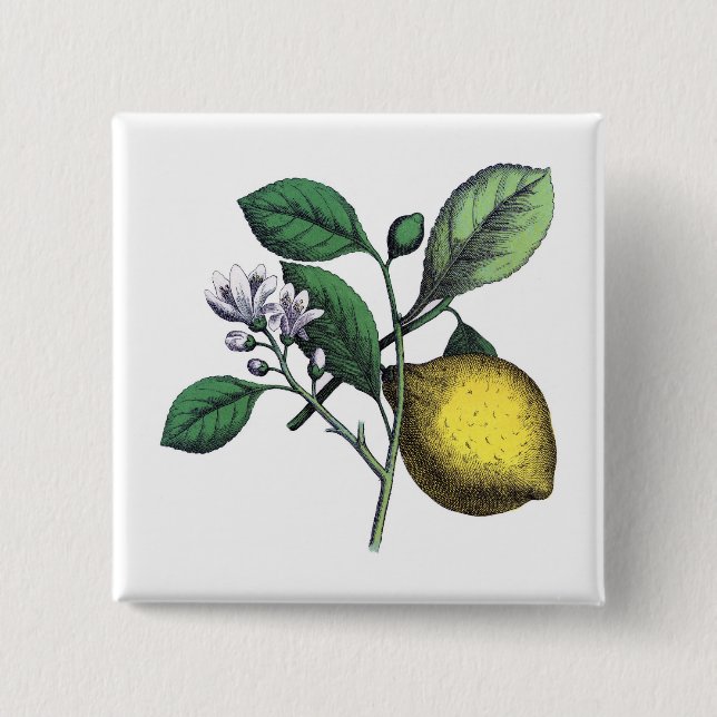 Citron, ’frukt och blommor’ knapp (Framsida)