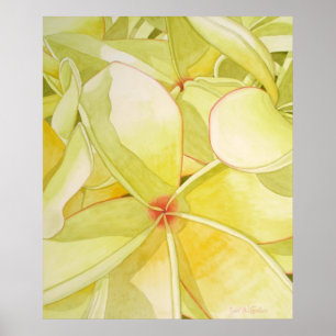 Citron - gul Frangipani Poster