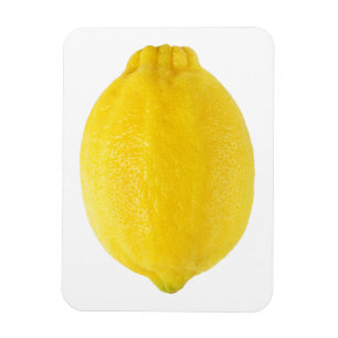Citron Magnet
