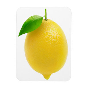 Citron Magnet
