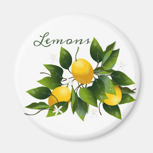 Citroner Citrus Frukt, Blommigt Magnet
