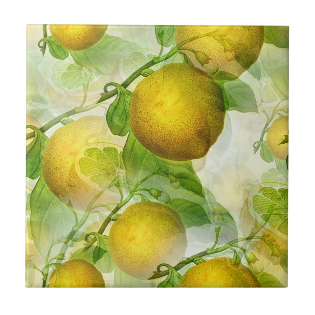 Citroner Kakelplatta (Framsidan)