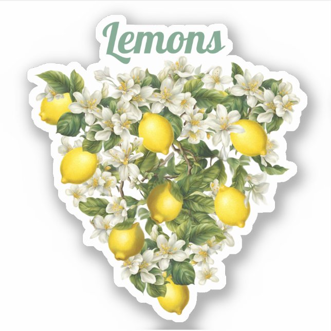 Citroner Klistermärken (Framsida)
