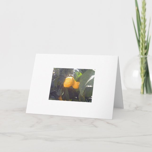 Citroner? Kort (Framsida)