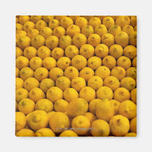 Citroner Magnet