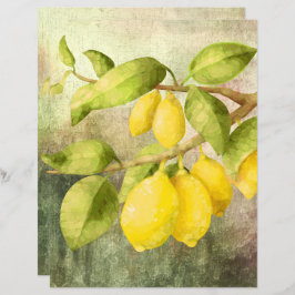 Citroner på en gren