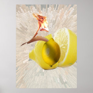 citroner poster
