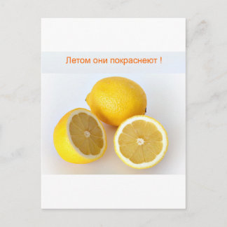 Citroner Vykort