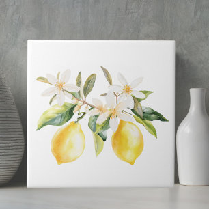 Citronfrukter och vita blommor Trädgren Kakelplatta