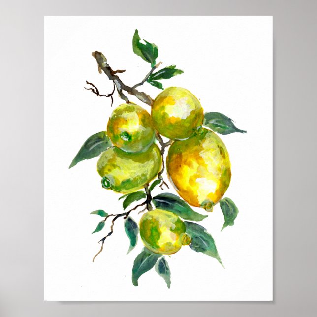 Citronfrukter som hänger från en trädgren poster (Framsidan)