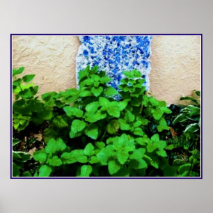 Citronmeliss örtagårdsposter poster