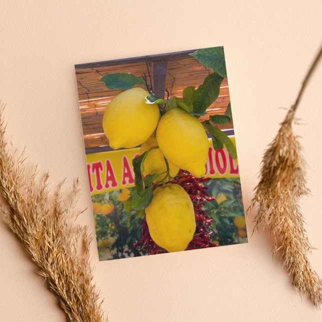 Citronrankor i Positano Italien Vykort (Skapare uppladdad)