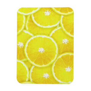 Citronskivor Magnet