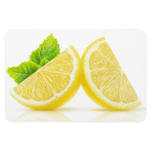 Citronskivor Magnet