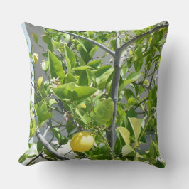 Citronträd som mycket är härligt på detta, kudder! kudde