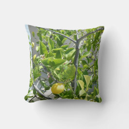 Citronträd som mycket är härligt på detta, kudder! kudde