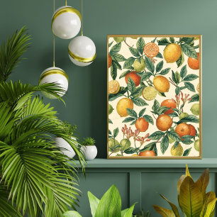 Citrus Blossom Garden Sömlöst Mönster Poster
