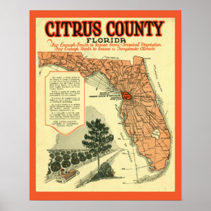 Citrus County Florida Vintage affisch